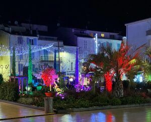 Europe Évènement - Parcours lumineux dans les palmiers à Antibes