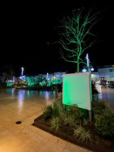 Europe Évènement - Parcours lumineux de couleur verte dans les arbres d'une ville à Antibes